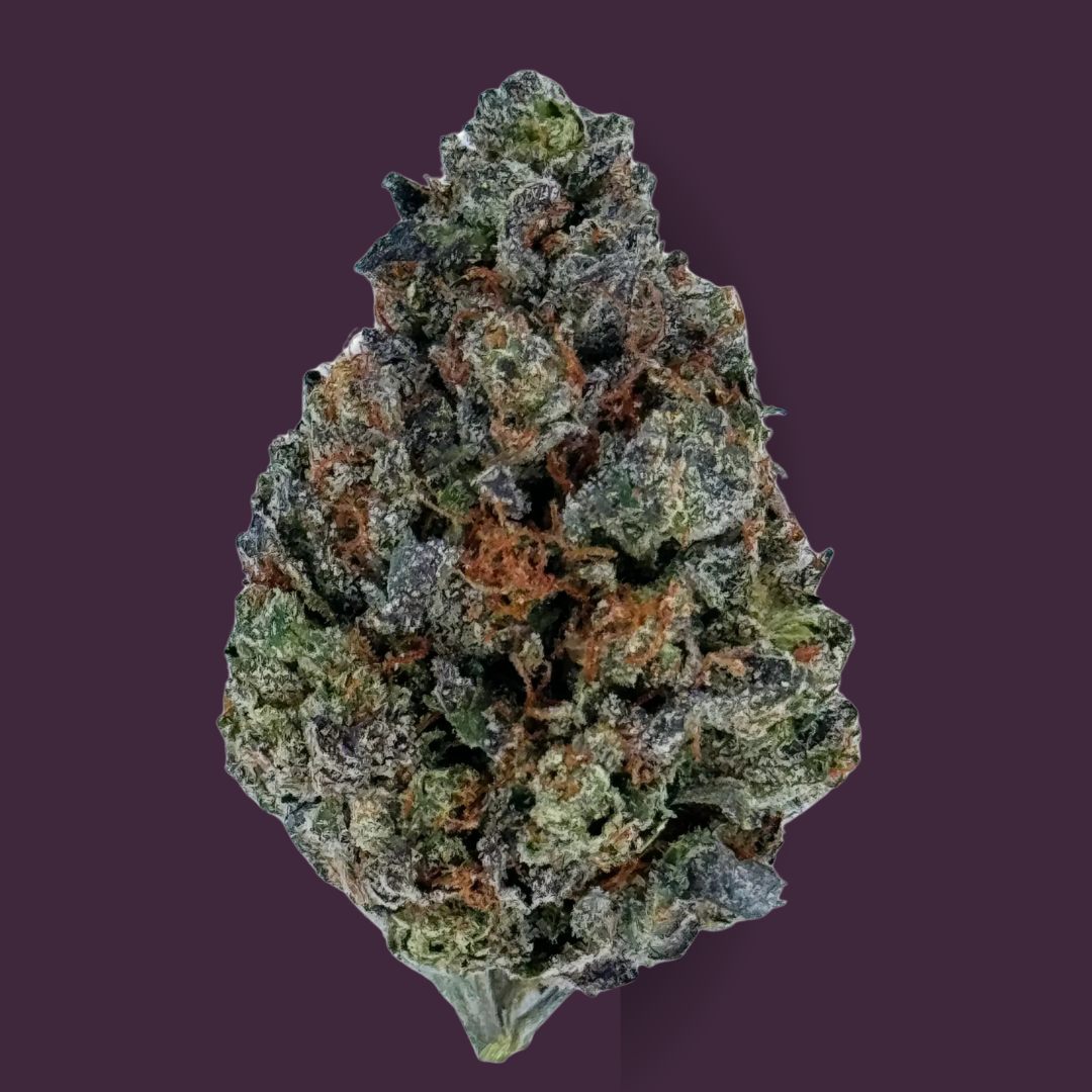 Jet Fuel Gelato