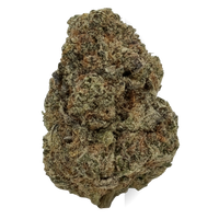 Gelato