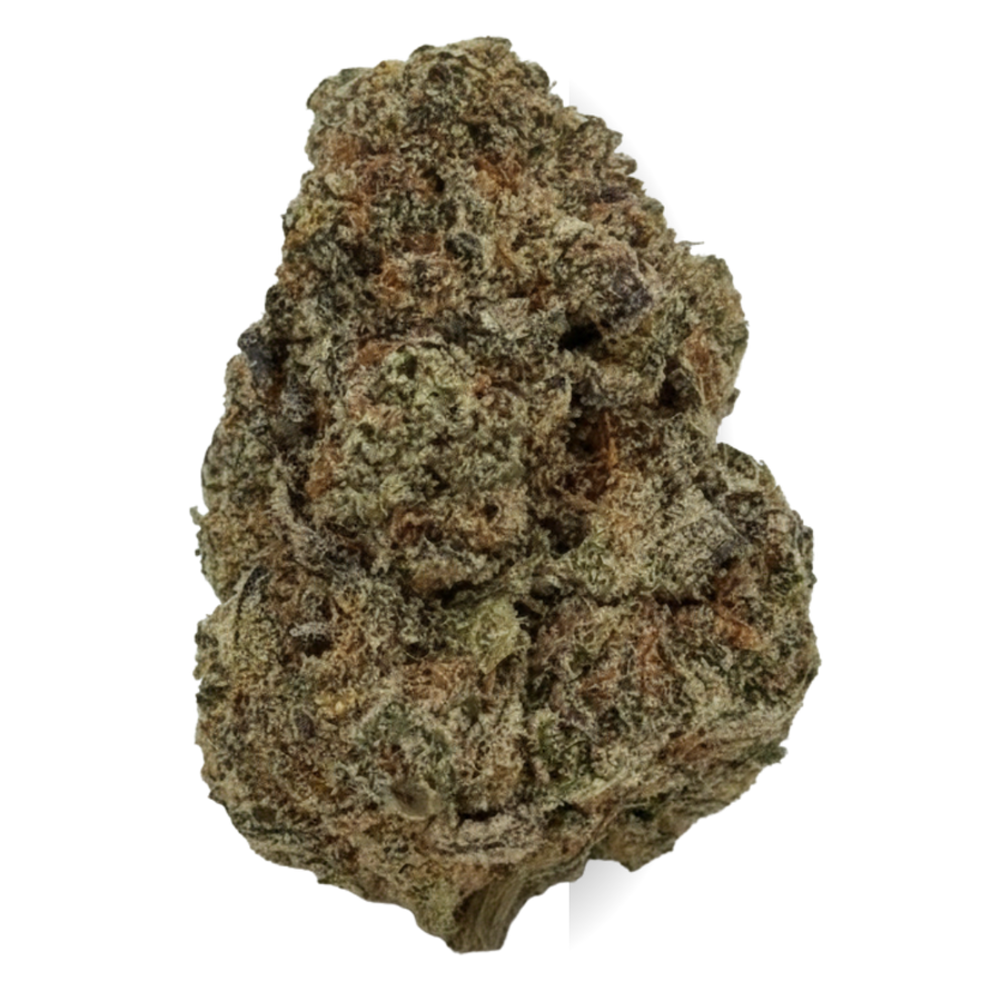 Gelato