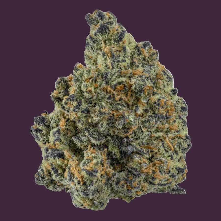 Blue Widow