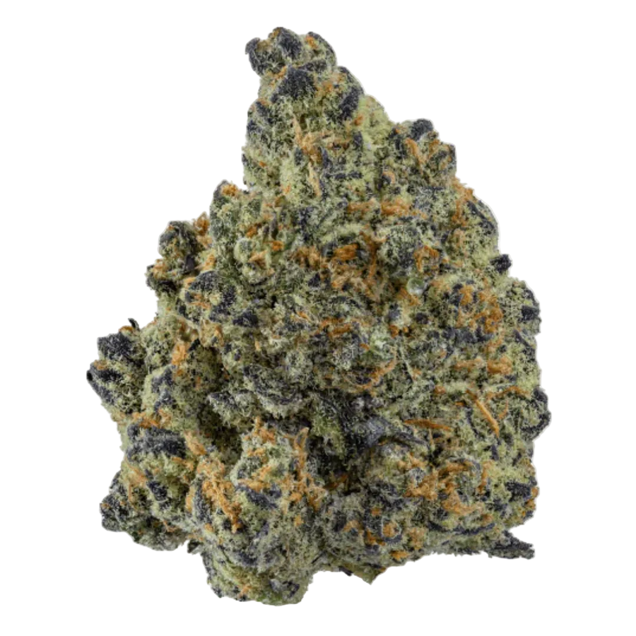 Blue Widow