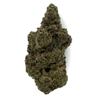 Purple Haze