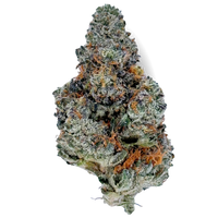 Tangerine Dream 3.5g