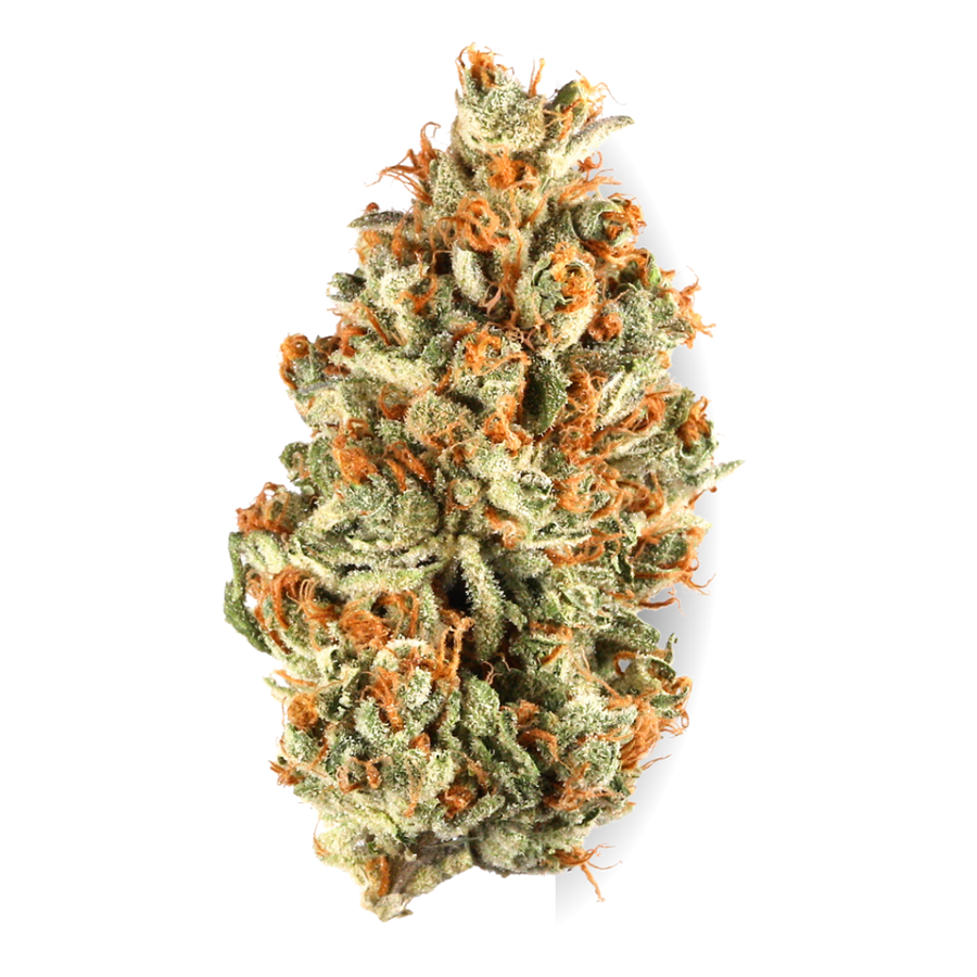 Oreo Mai Tai 3.5g