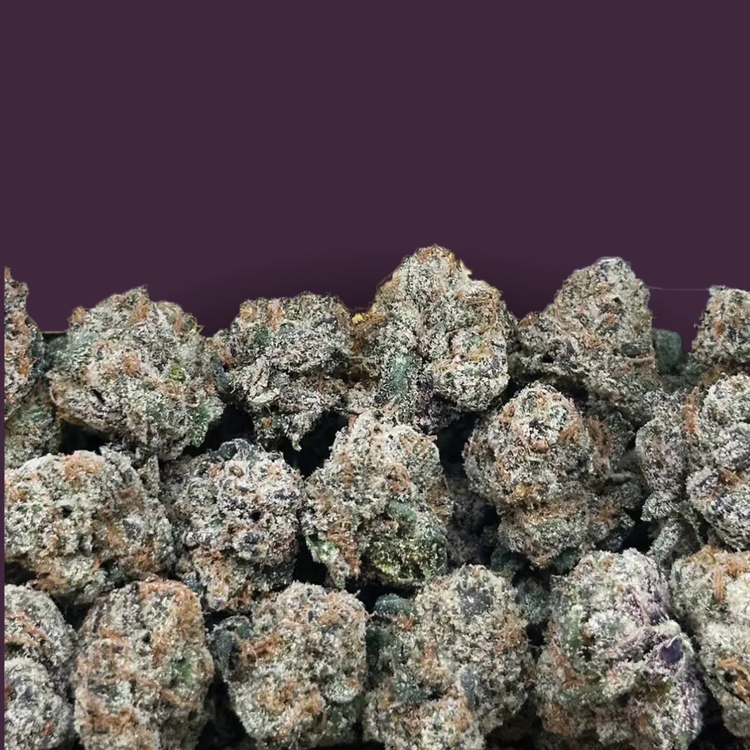 Purple Punch Indoor Smalls