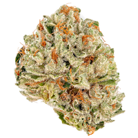 Gelato Cake 3.5g