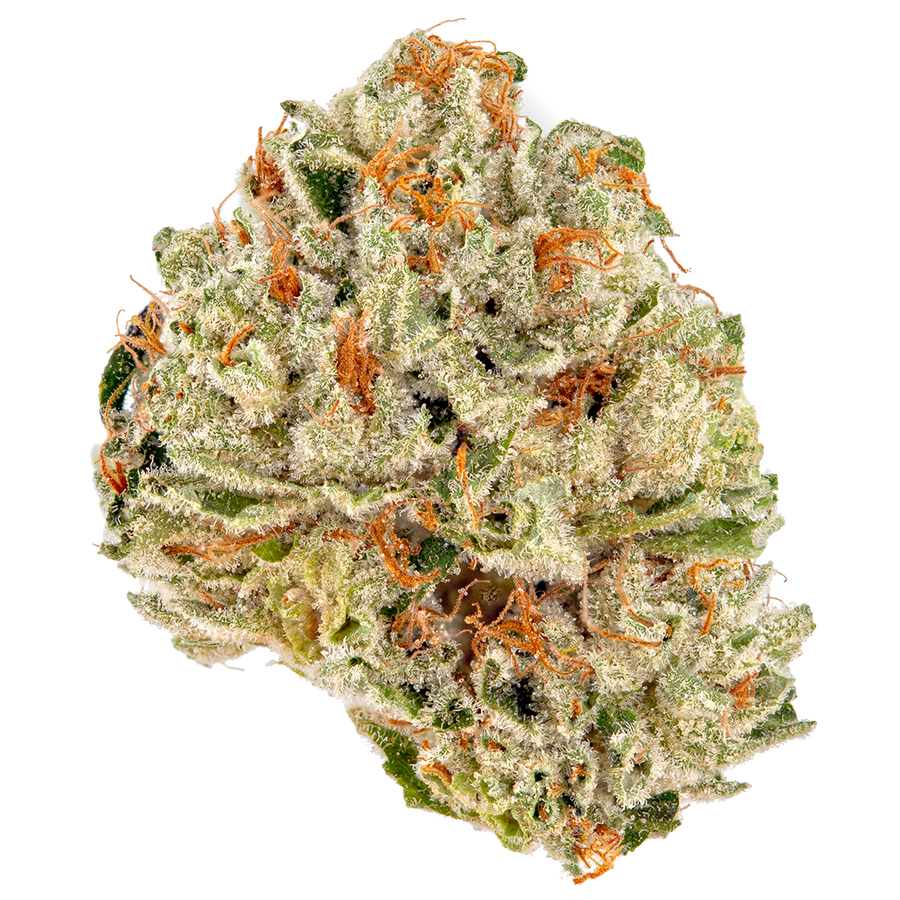 Gelato Cake 3.5g