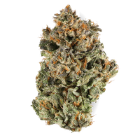 Sherbert OG