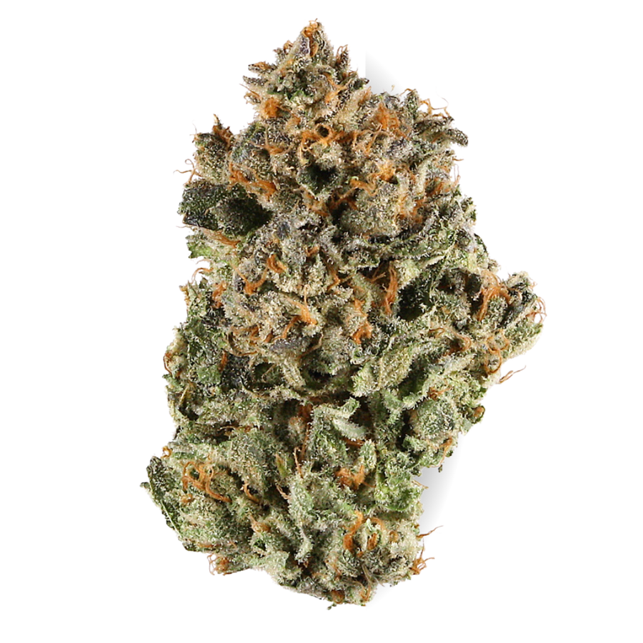 Sherbert OG