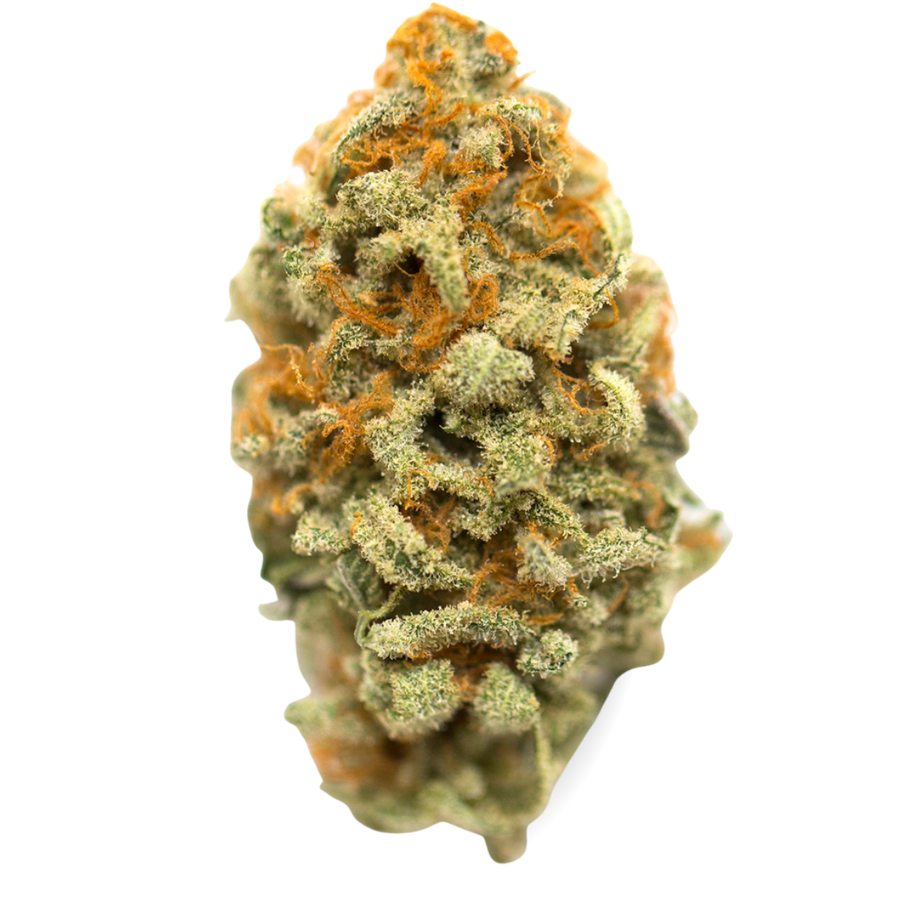 Yoda 3.5g