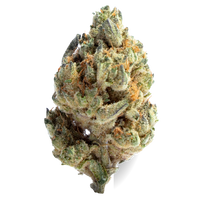 Lemon Pucker