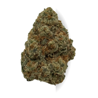Tropic Lemons