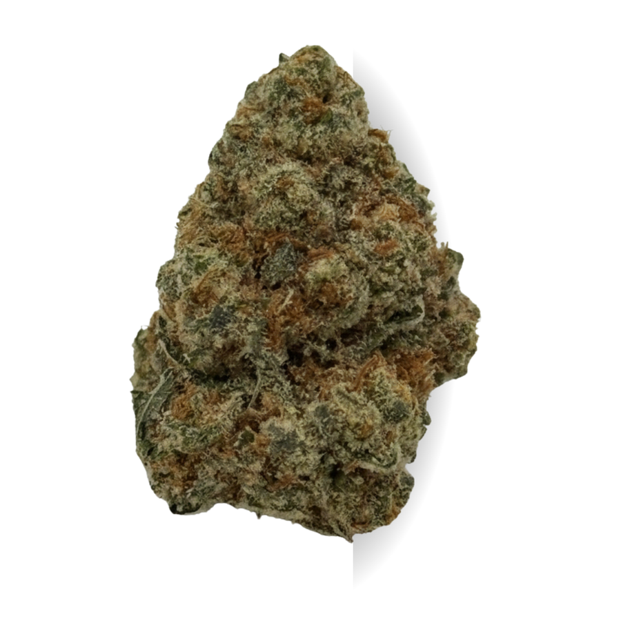 Tropic Lemons
