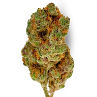 Bacio Breath