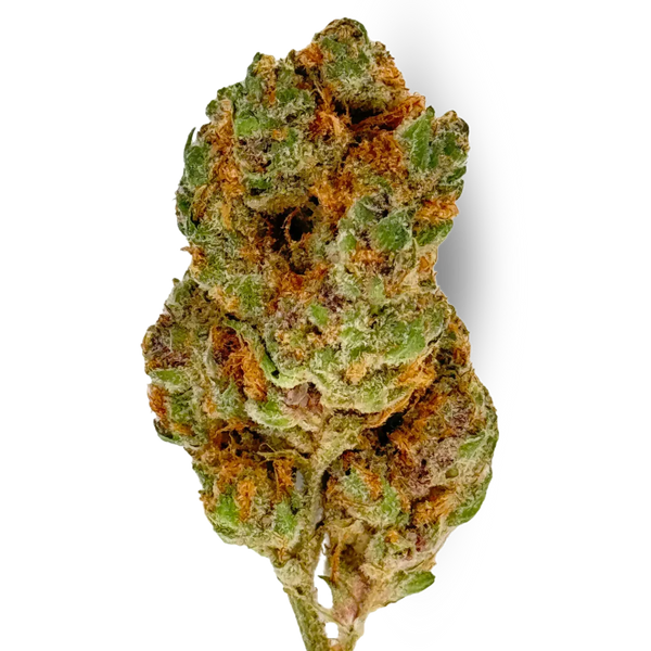 Bacio Breath