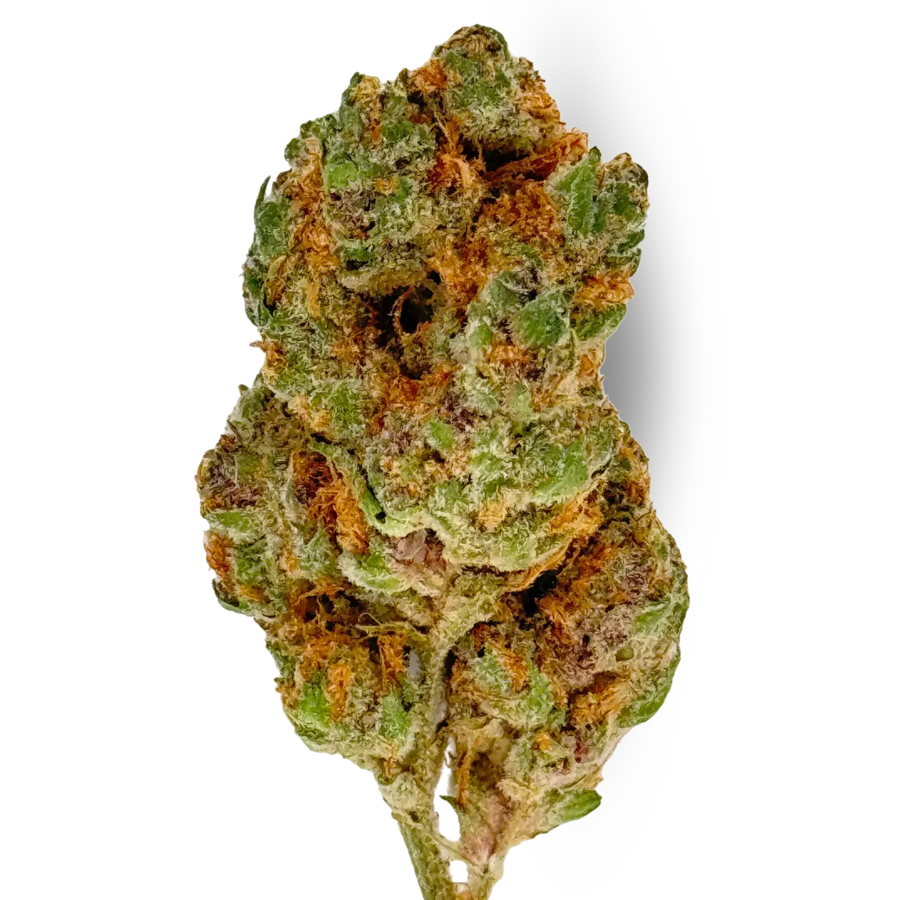 Bacio Breath
