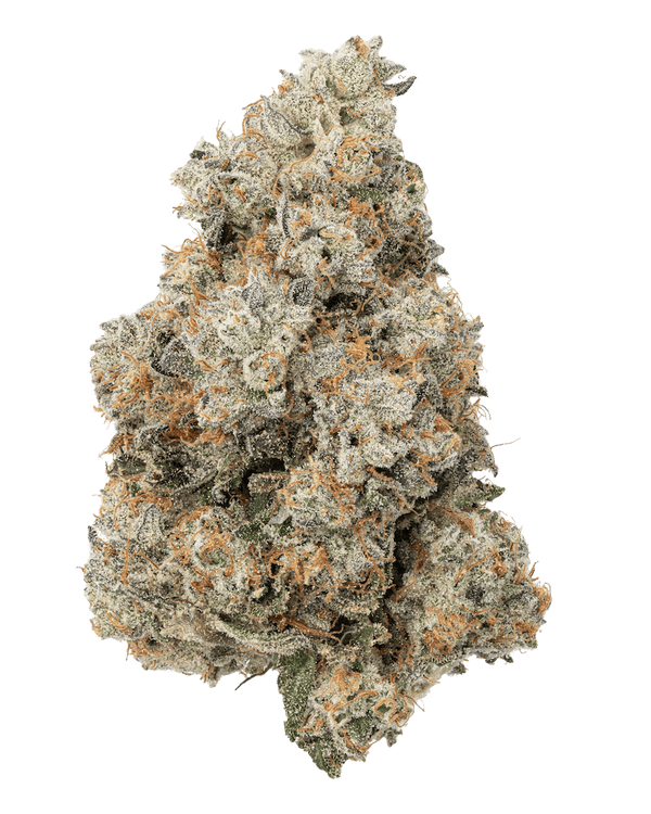 Jet Fuel Gelato