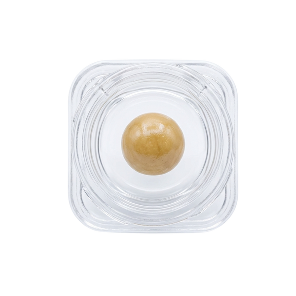 Blue Gusherz Live Rosin
