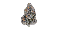 Bacio Breath