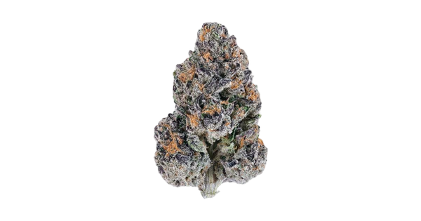 Bacio Breath