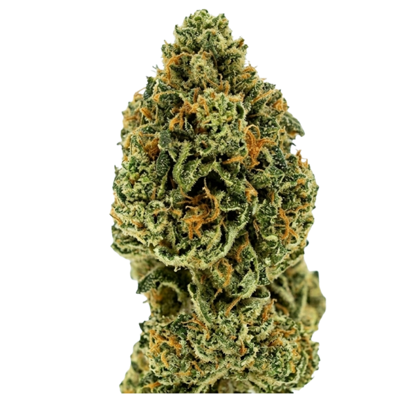 Banana Yeti - 10lbs