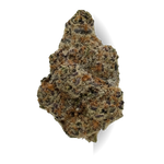 Black Rainbow Sherbet