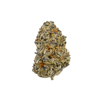Cereal Milk