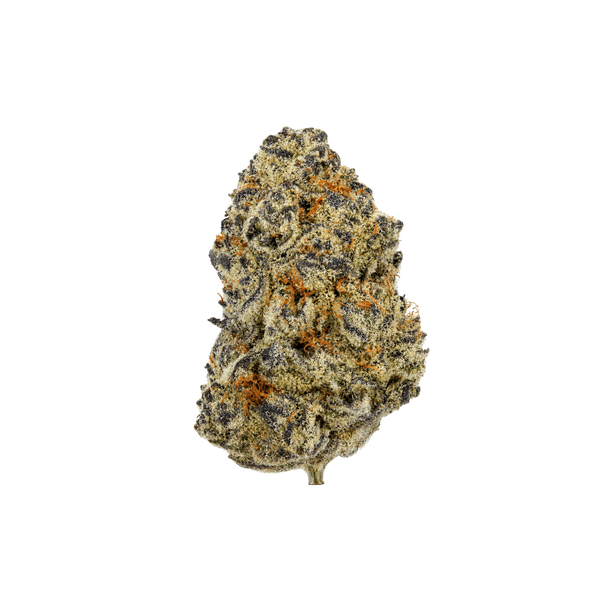 Cereal Milk