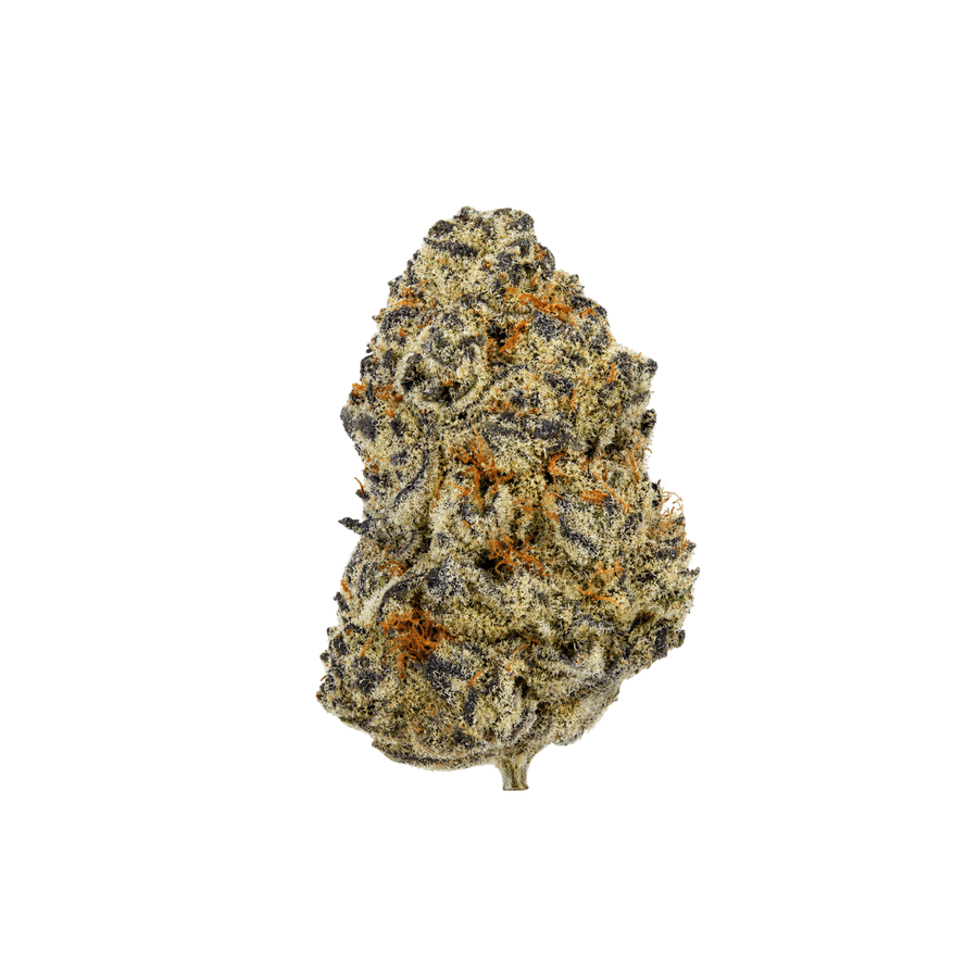 Cereal Milk