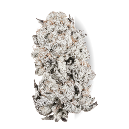 Cherry Punch Exotic Snow Cap