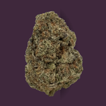 Gelato