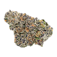 Gelato