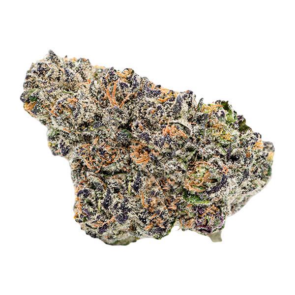 Gelato