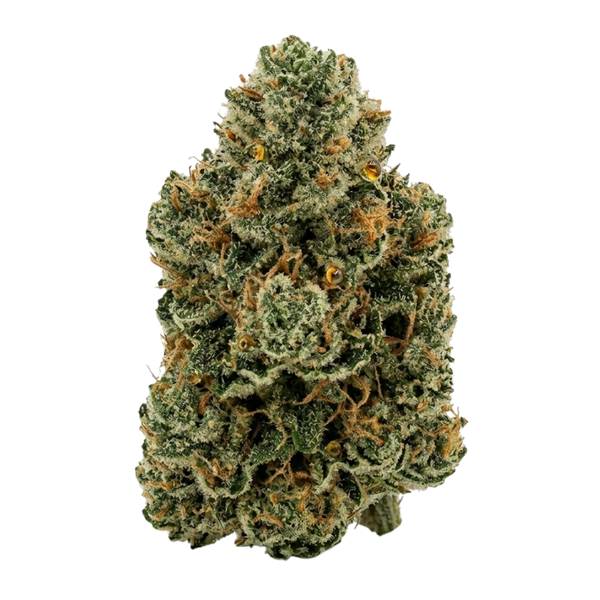 Get Schwifty - 2lbs