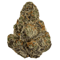 Glitter Bomb