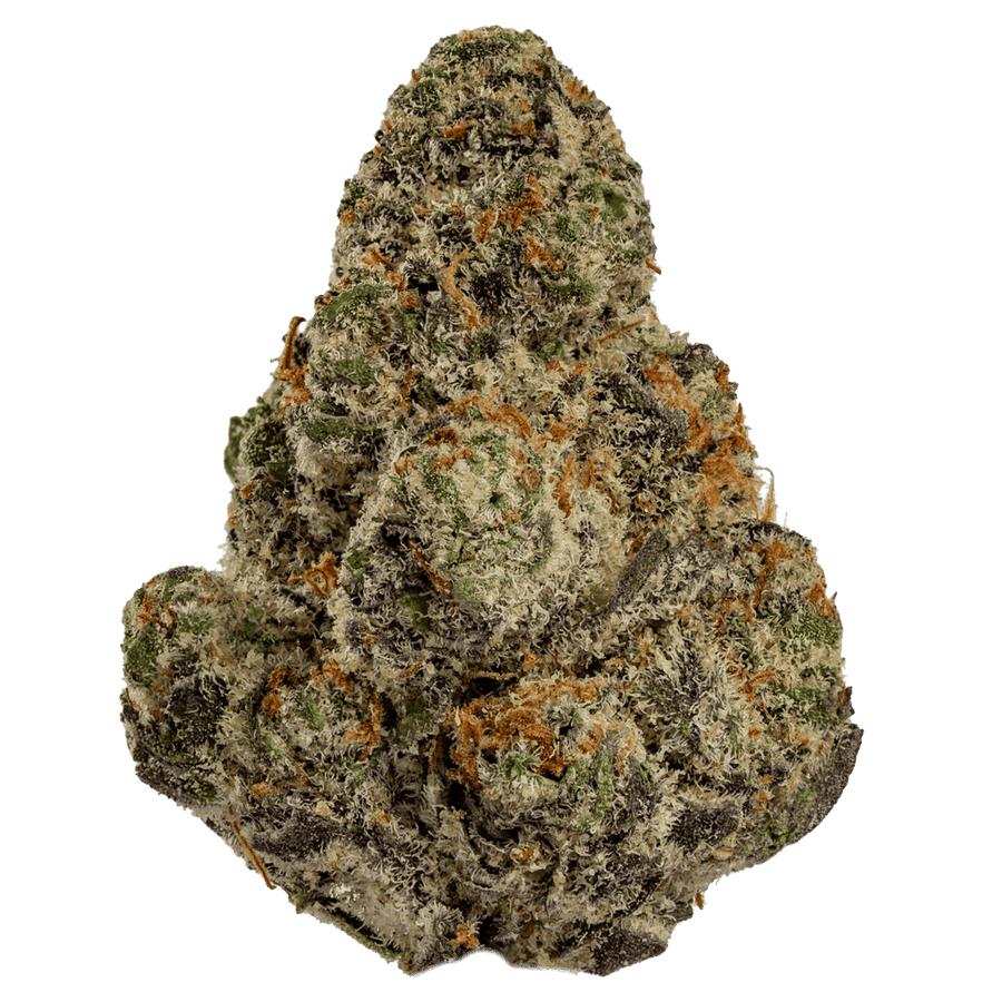 Glitter Bomb