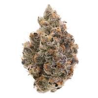 Honey Banana