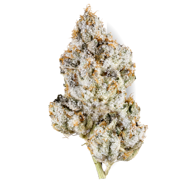 Oreoz Snow Cap