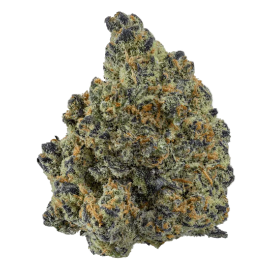 Blue Widow