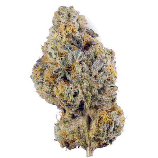 all ThePurpleHaze all ThePurpleHaze