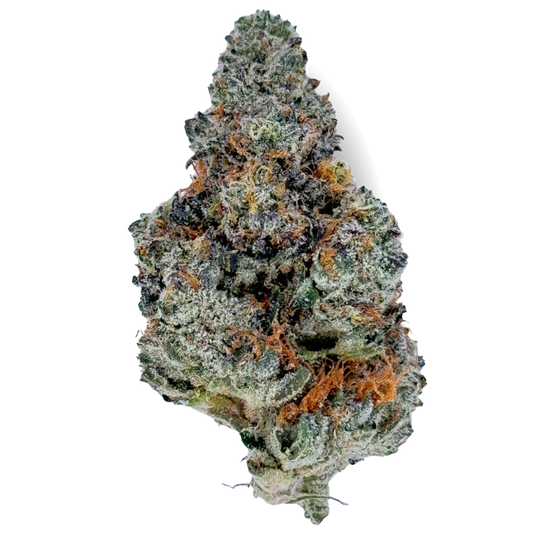 Tangerine Dream