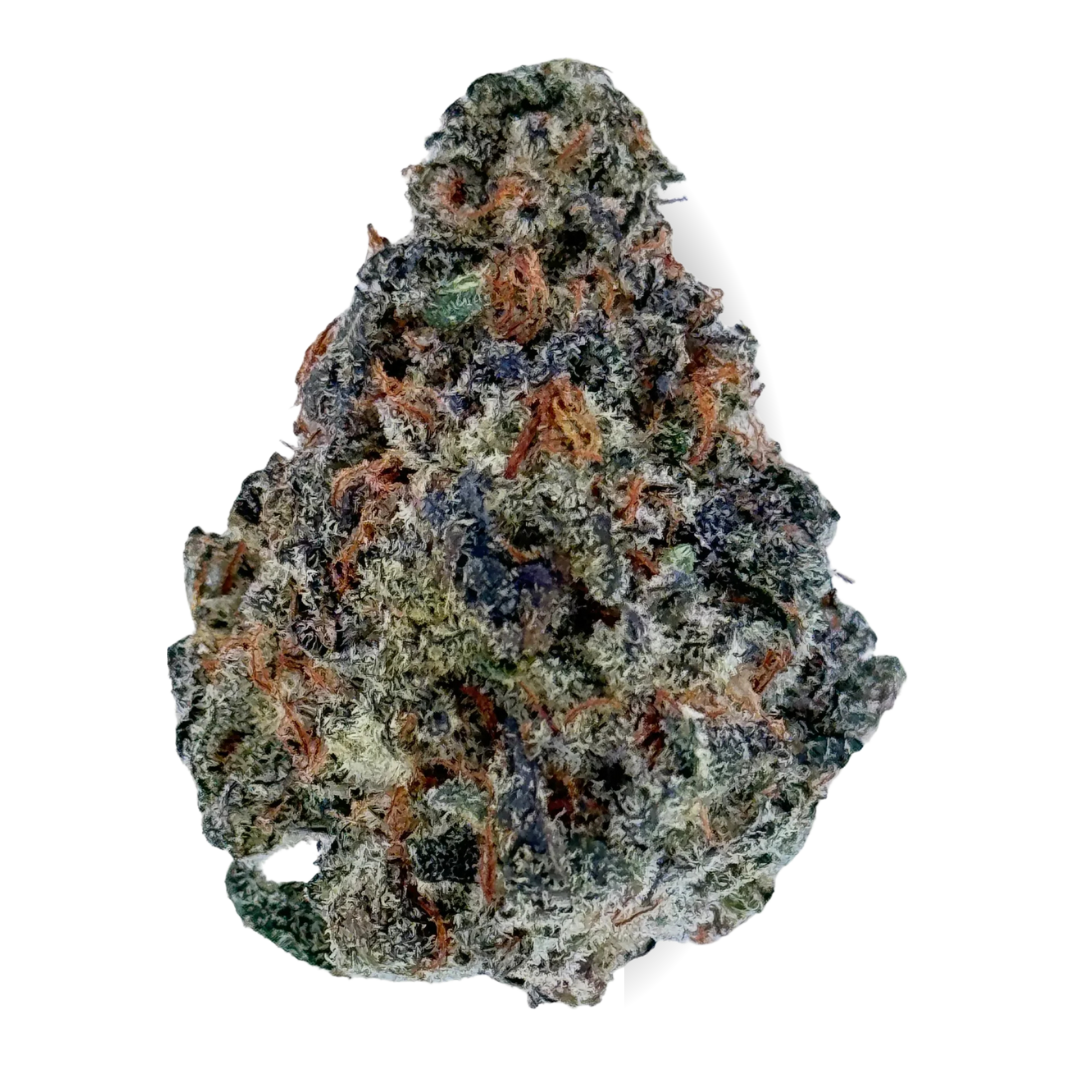 Black Rainbow Sherbet