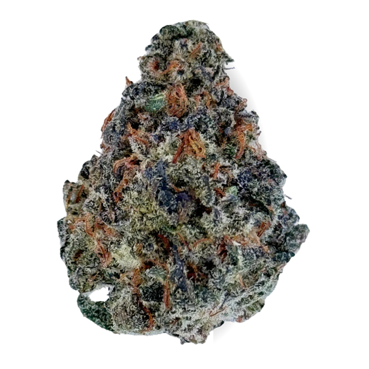 Black Rainbow Sherbet