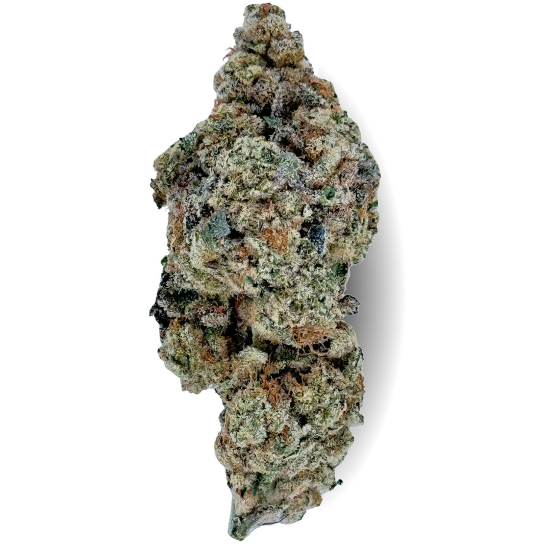 Gorilla Glue
