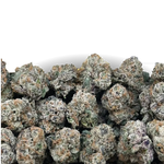 Purple Punch Indoor Smalls