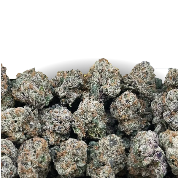 Purple Punch Indoor Smalls