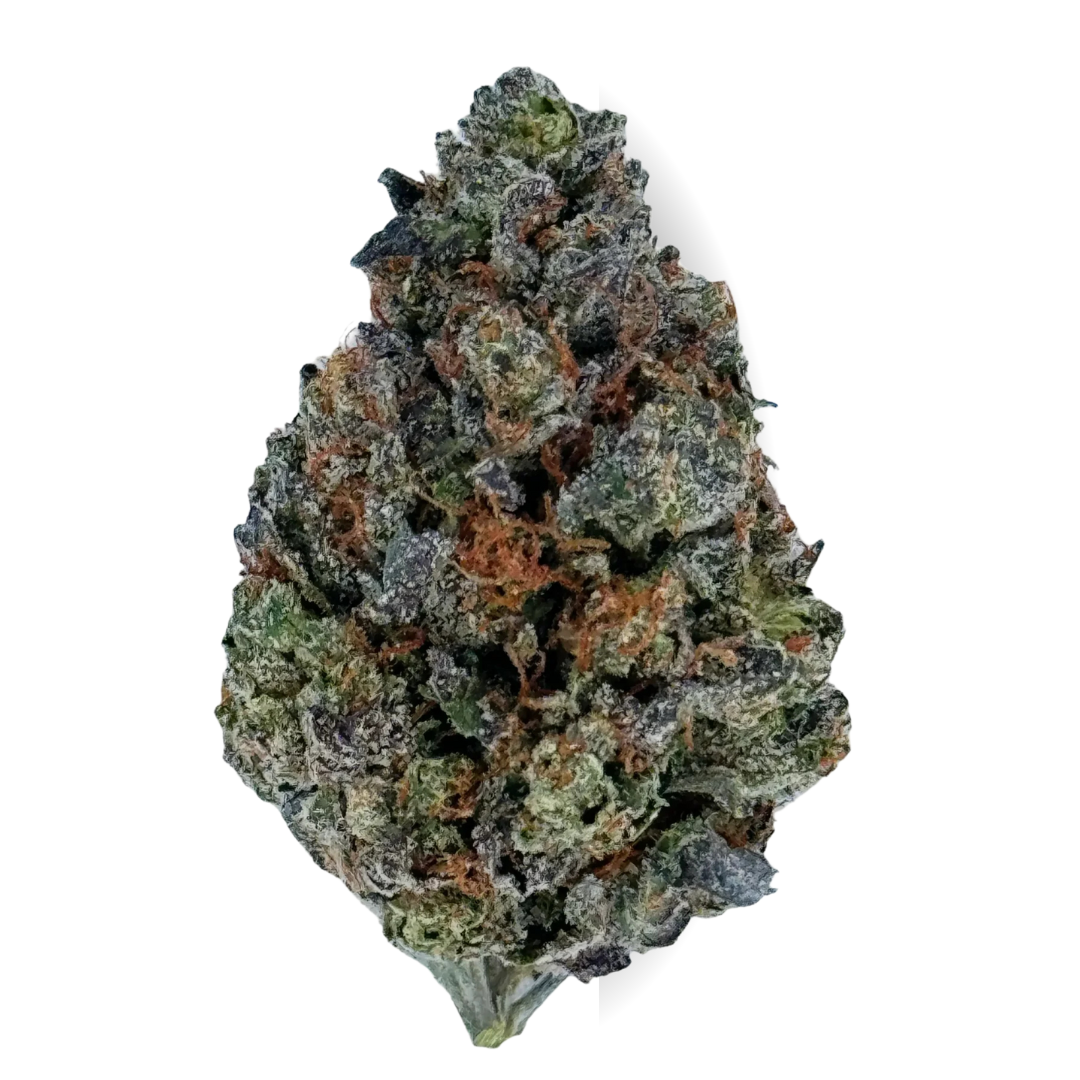 Jet Fuel Gelato