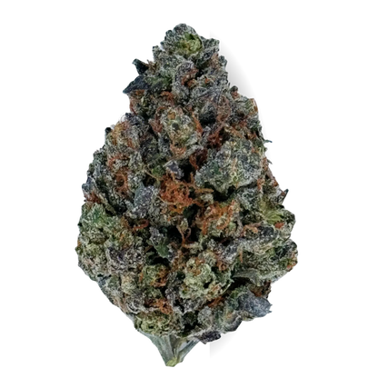 Jet Fuel Gelato