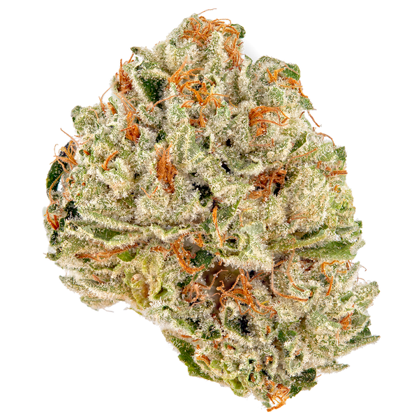 Gelato Cake 3.5g