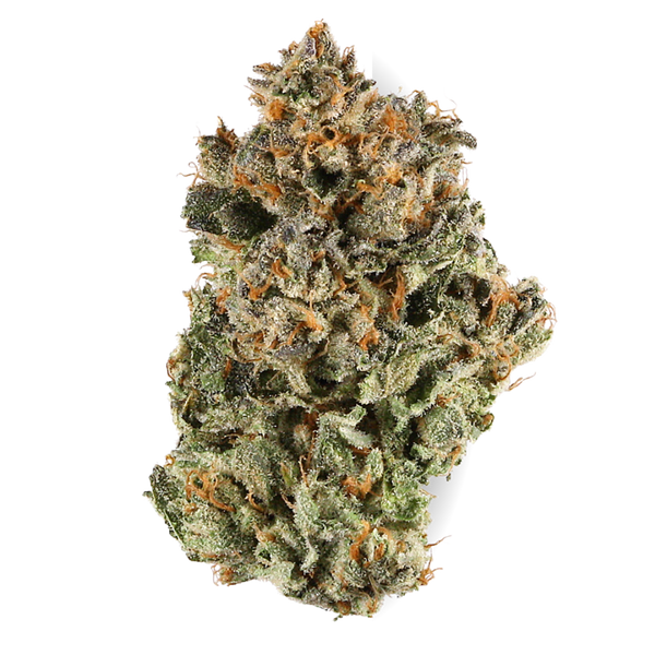 Sherbert OG